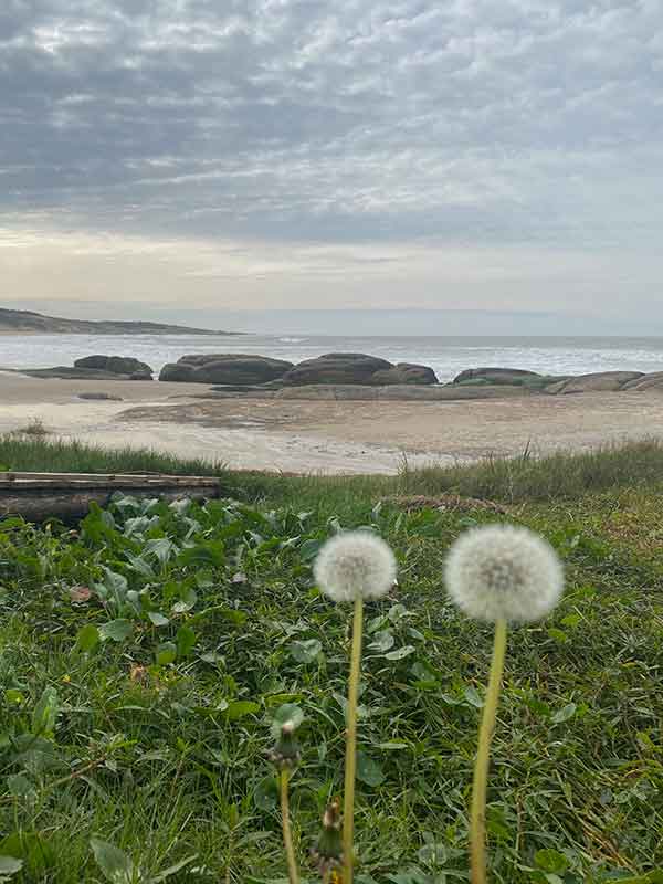 naturaleza